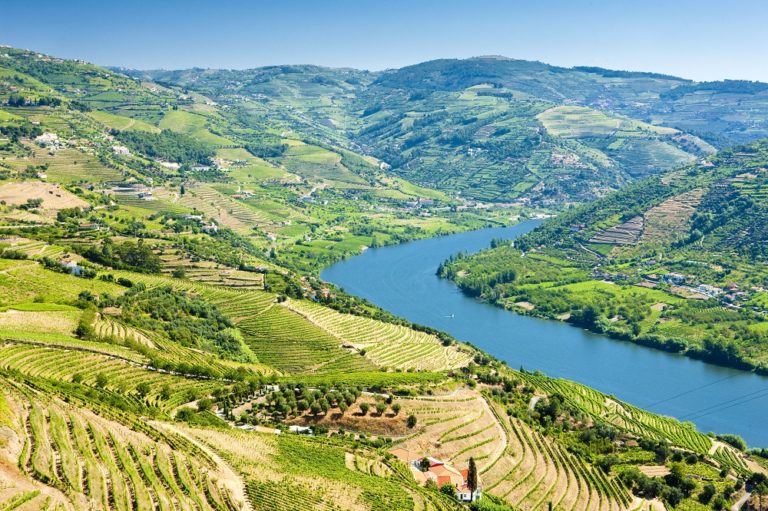 croisiere fluviale sur le douro